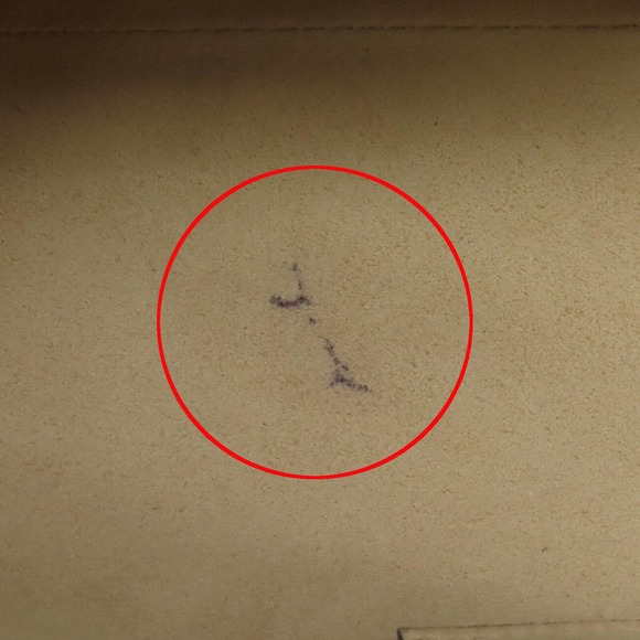 💎✨BEAUTIFUL✨💎 GUCCI GG Padlock Medium Chain Shoulder Bag - Picture 15 of 15